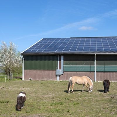 herolantbruk_500ox2_web